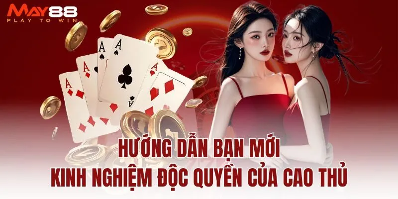 huong-dan-ban-moi-kinh-nghiem-doc-quyen-cua-cao-thu