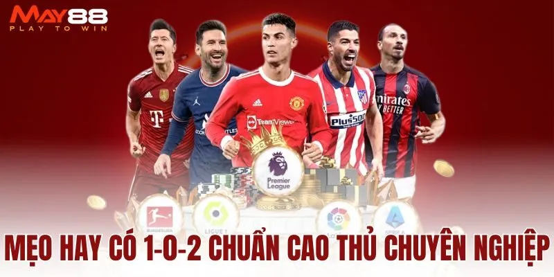meo-hay-co-1-0-2-chuan-cao-thu-chuyen-nghiep
